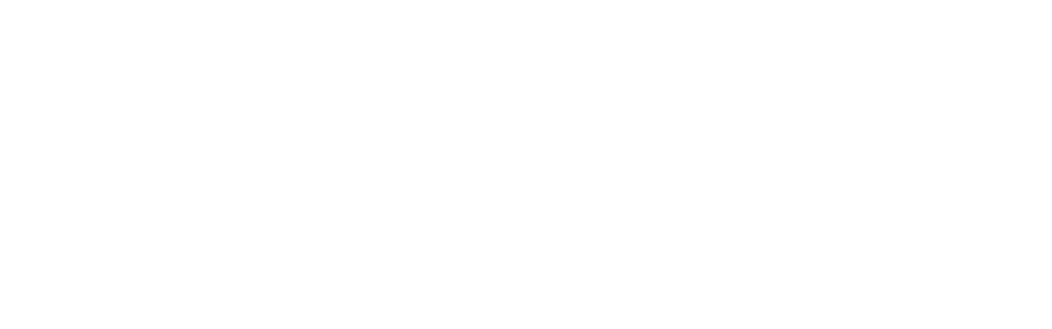 Clever+-+white+-+revised